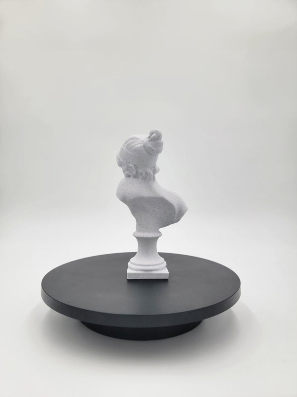 3D Printed Sapho Marble Sculpture - Steez Stock